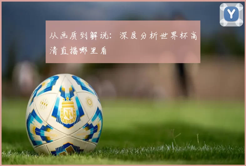 从画质到解说：深度分析世界杯高清直播哪里看