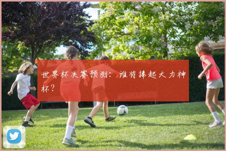 世界杯决赛预测:谁将捧起大力神杯?