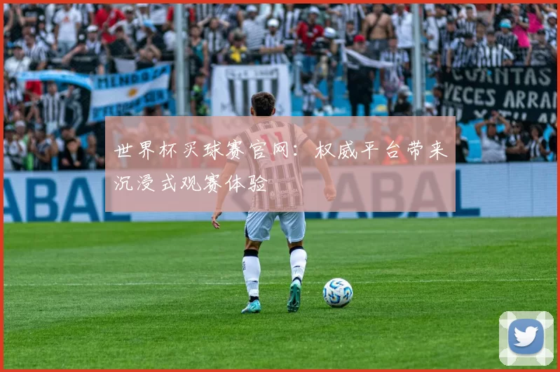 世界杯买球赛官网：权威平台带来沉浸式观赛体验