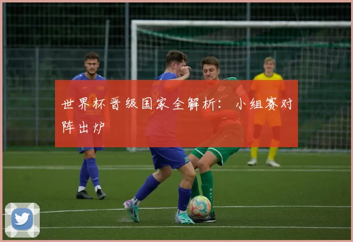 世界杯晋级国家全解析：小组赛对阵出炉