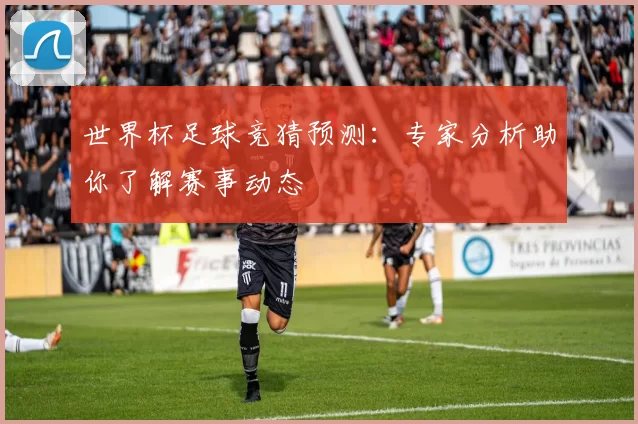 世界杯足球竞猜预测：专家分析助你了解赛事动态