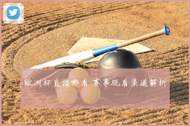 欧洲杯直播哪看 赛事观看渠道解析