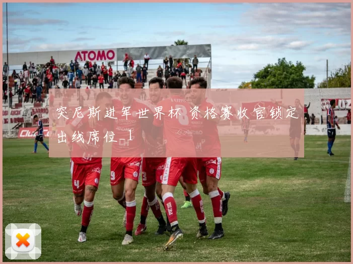 突尼斯进军世界杯 资格赛收官锁定出线席位_1