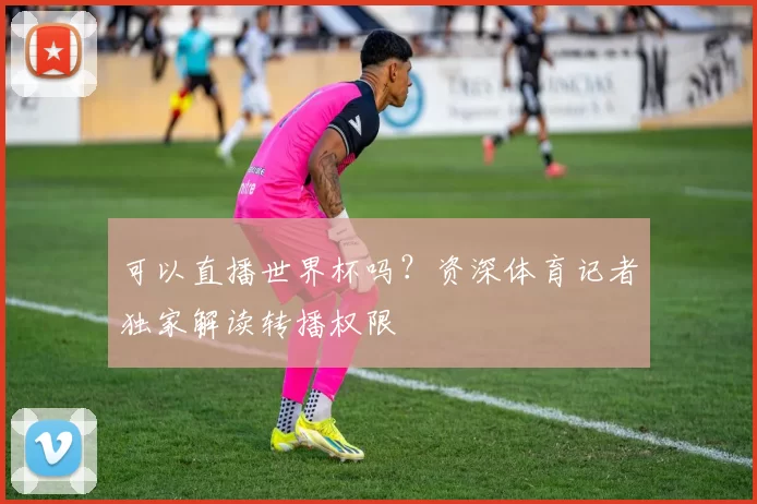 可以直播世界杯吗?资深体育记者独家解读转播权限