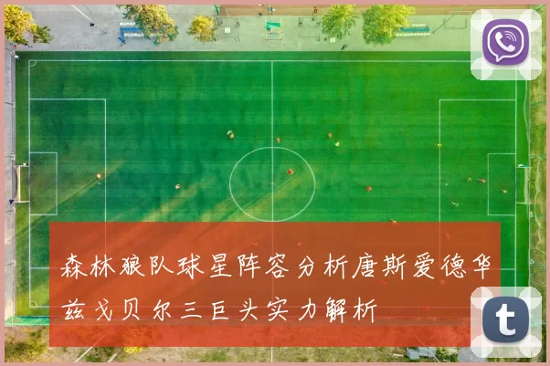 森林狼队球星阵容分析唐斯爱德华兹戈贝尔三巨头实力解析