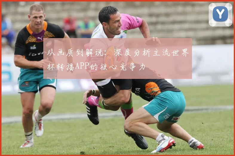从画质到解说：深度分析主流世界杯转播APP的核心竞争力