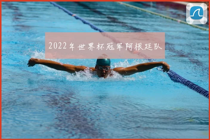 2022年世界杯冠军阿根廷队