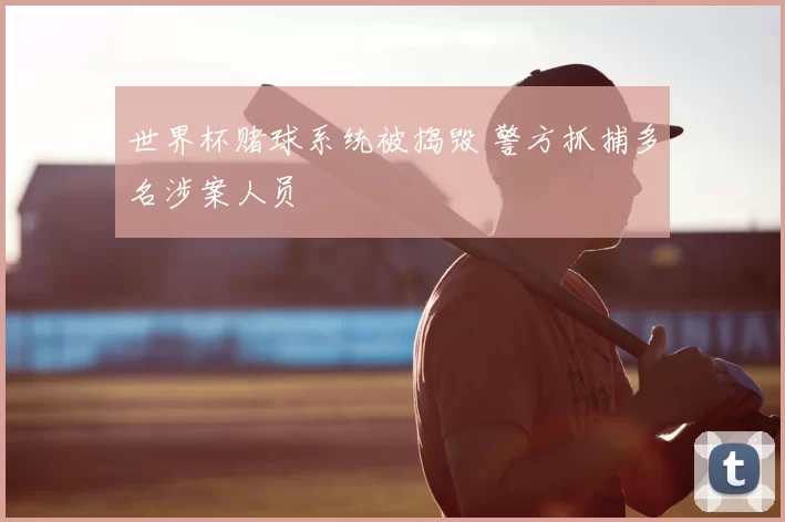 世界杯赌球系统被捣毁 警方抓捕多名涉案人员